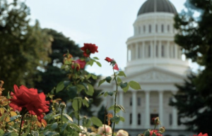 Sacramento Capitol