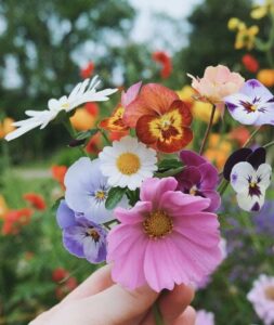 holding a small bouquet of colorful flowers
