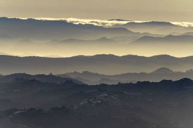 <img class="mfp-img" alt="Mount Diablo SP Gallery Image" src="https://www.parks.ca.gov/pages/517/images/090-P111357.JPG" style="max-height: 911px;">