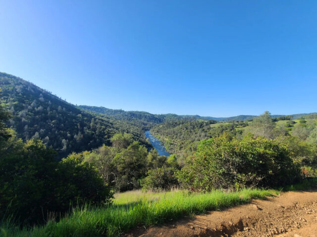 <p> <img src="dog.jpg" alt="El Dorado Trail river.">
</p>