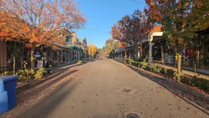 Street view of fall trees lining the street fall colors